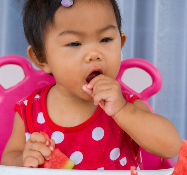 Manfaat Semangka untuk Makanan Bayi