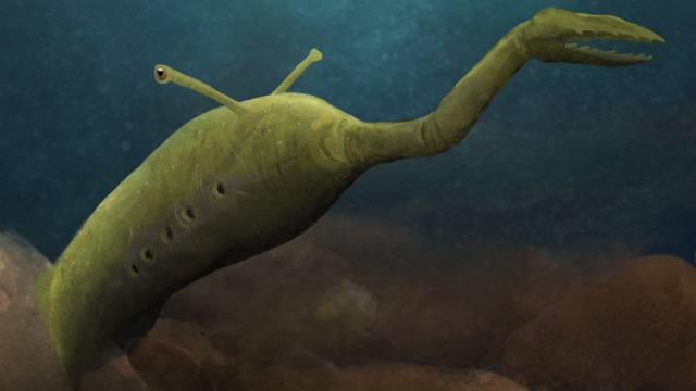 Monster Tully, Fosil Misterius yang Membingungkan Ilmuwan