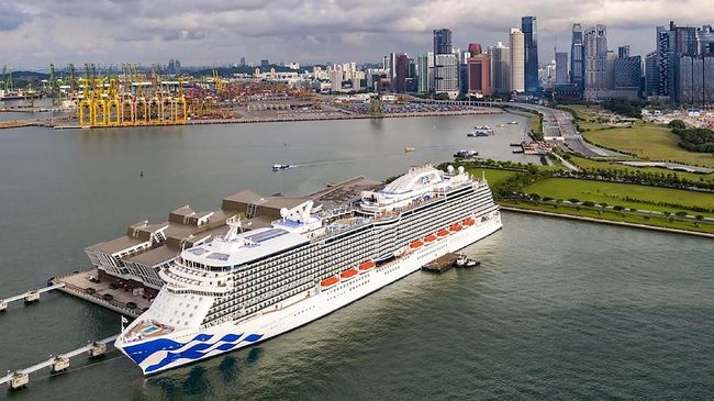21 Orang di Kapal Pesiar Princess Cruise Positif Virus Corona