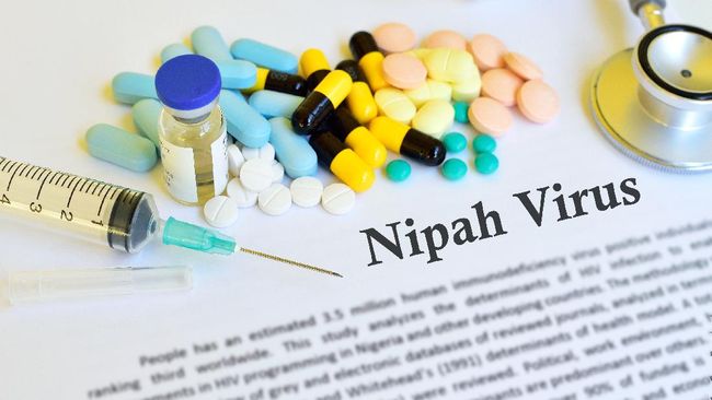 Kemenkes Minta Waspada Ancaman Virus Nipah dari Malaysia