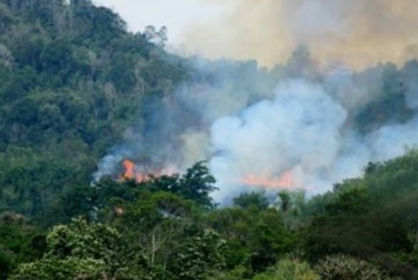 183 Titik Panas Terpantau di Sumatera, Terbanyak di Riau
