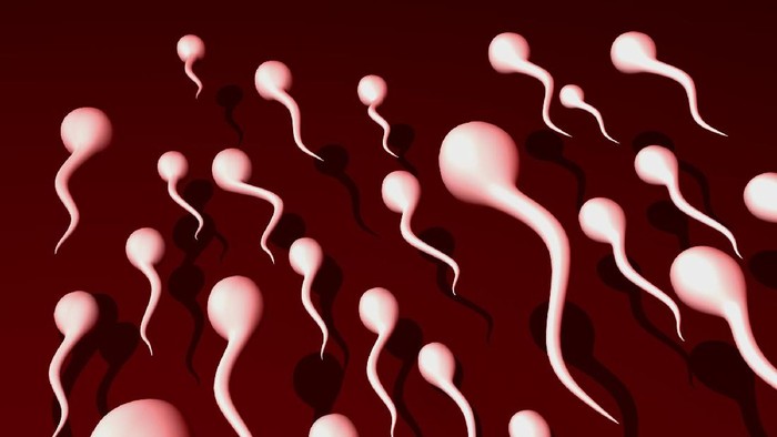 Studi Buktikan Vaksin COVID-19 Tidak Merusak Kualitas Sperma