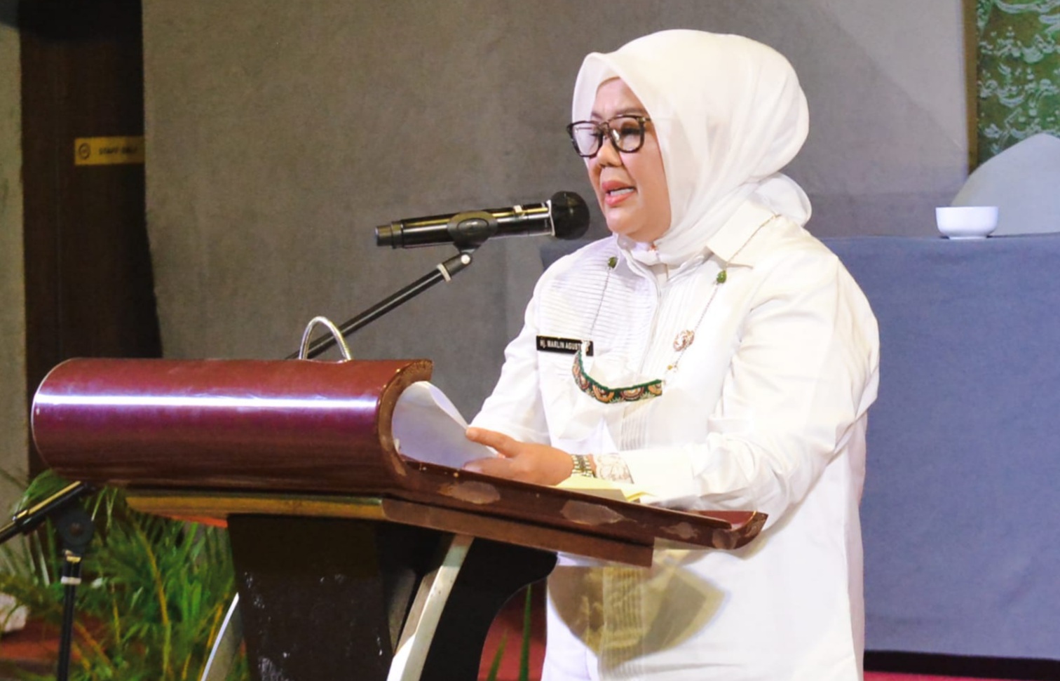 Wagub Marlin Berharap AAIPI Ikut Kawal Pembangunan di Kepri
