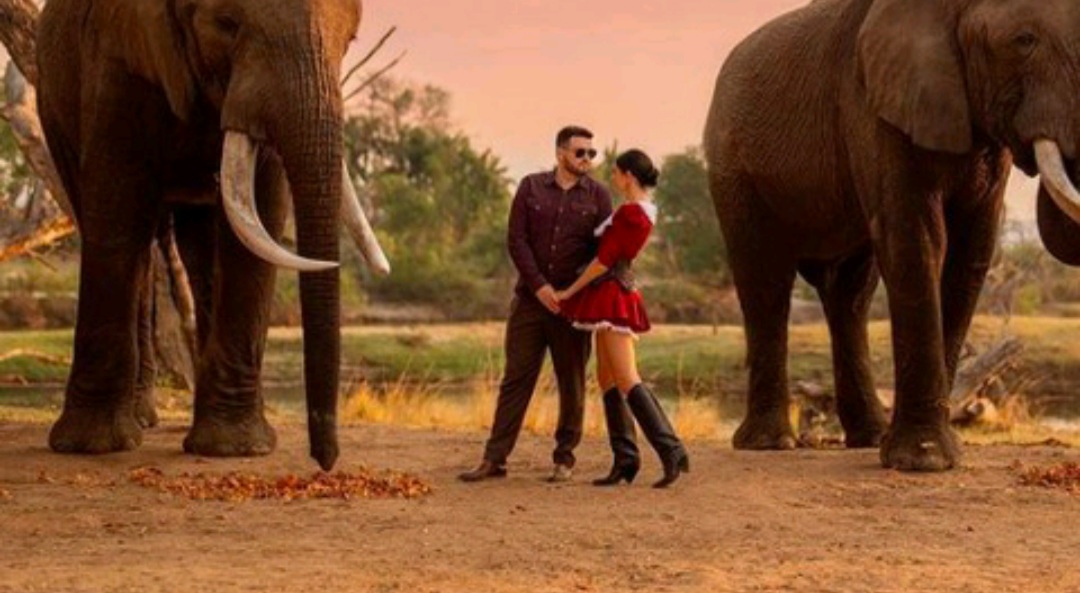 Wow! Demi Menikah di Taman Safari, Influencer Ini Rela Rogoh Rp57 M