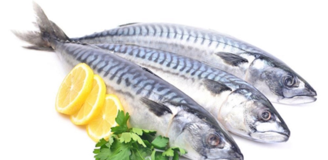 Rutin Makan Ikan Jaga Kesehatan Otak, Cegah Stroke