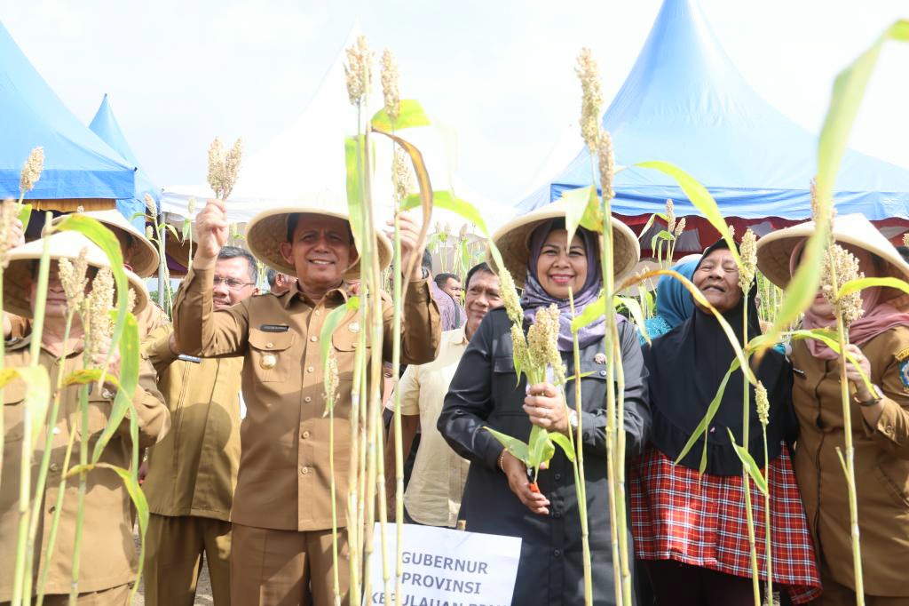 Gubernur Ansar Serahkan Mesin Pertanian dan Panen Sorgum di Toapaya Bintan